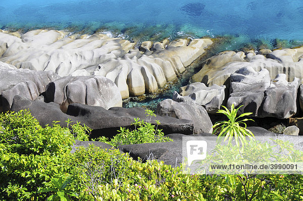 Granitfelsen und tropische Vegetation  Insel Mahe  Seychellen  Afrika  Indischer Ozean