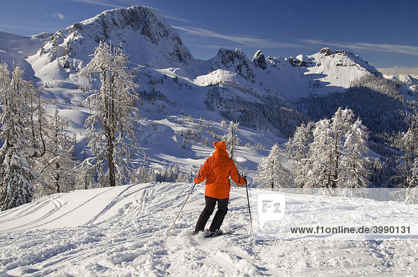 Skier off-piste  Nassfeld  Hermagor  Carinthia  Austria  Europe