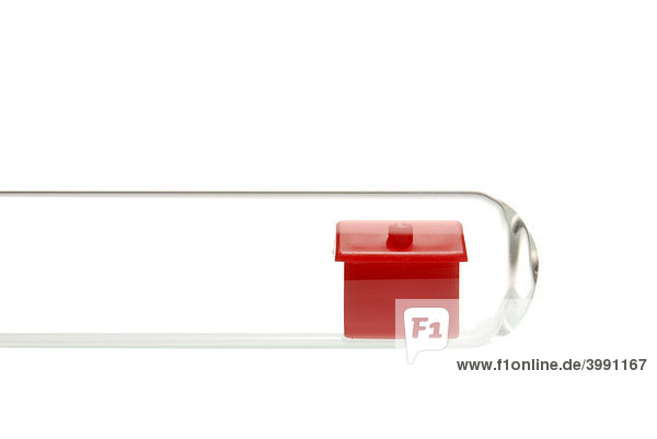 Miniatur-Haus in Reagenzglas  Symbolbild für Immobilienmarkt Analyse