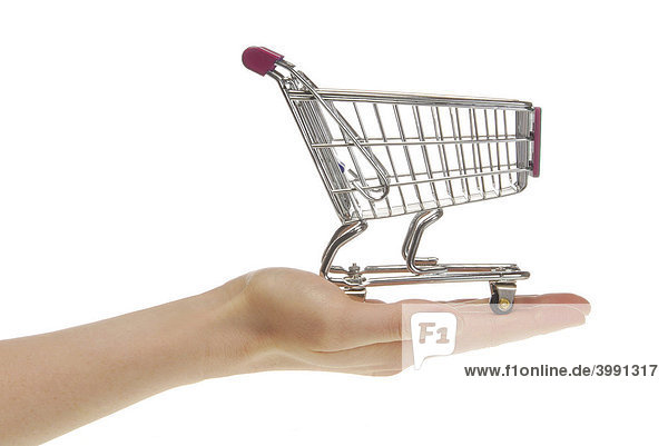Miniatur Einkaufswagen steht auf Frauenhand