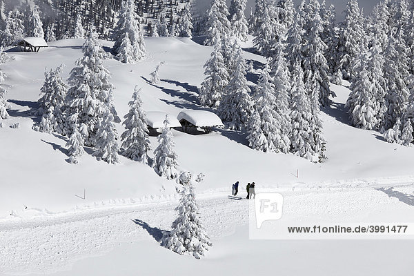 Winterlandschaft mit Spaziergängern  Wank im Estergebirge nahe Garmisch-Partenkirchen  Werdenfelser Land  Oberbayern  Bayern  Deutschland