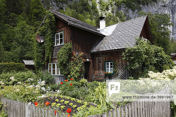 Traditionelles Holzhaus in Gößl am Grundlsee  Ausseer Land  Salzkammergut  Steiermark  Österreich  Europa Holzhaus
