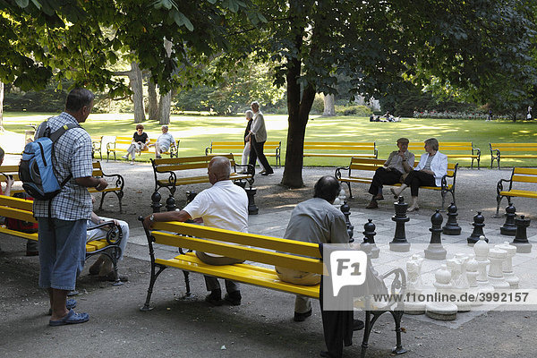 Schachspiel im Hofgarten Innsbruck Tirol Österreich Europa