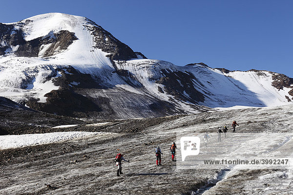 Weißseespitze Bergsteiger-Gruppe auf Gletscher Weißseeferner Kaunertal Ötztaler Alpen Tirol Österreich Europa
