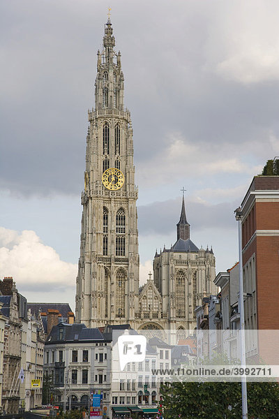 Onze-Lieve-Vrouwekathedraal  Liebfrauenkathedrale von der Noorderterras-Zuiderterras-Uferpromenade aus  Wandelterras Zuid  Antwerpen  Belgien