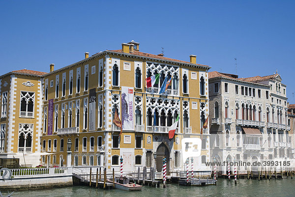 Palazzo Cavalli Franchetti  Palazzo Barbaro am Canal Grande  Venedig  Italien  Europa