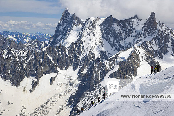 Mountaineers ascending from the Vallee Blanche to the Aiguille du Midi against Grandes Jorasses  Dent du Geant  Chamonix  Mont Blanc Massif  Alps  France  Europe