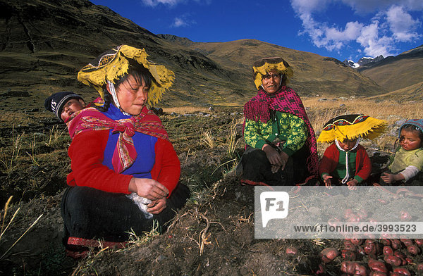 Frauen vom Volk der Queros im peruanischen Hochland  Cusco  Peru  Südamerika