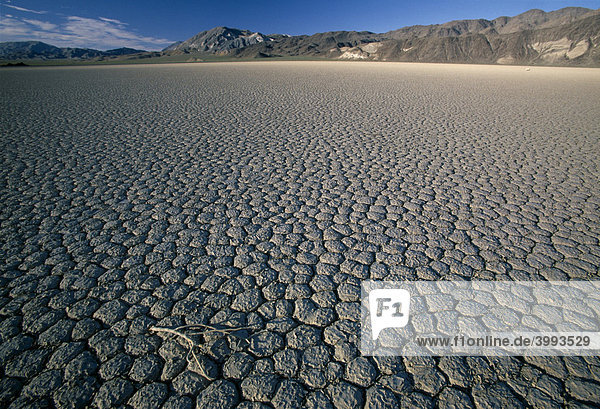 Der ausgetrockenete Grund eines ehemaligen Sees Racetrack The Playa Death Valley Nationalpark Lone Pine California USA