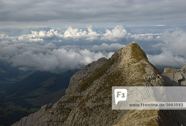 View of the Appenzell Alps at Mount Saentis  2501 m above sea level  Canton of St. Gallen  Switzerland  Europe