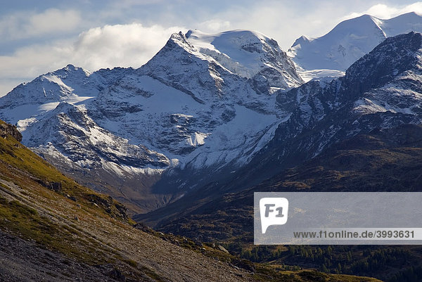 Blick auf die Bergkette der Bündner Alpen mit Diavolezza  2978 m über NN  und Piz Palü  3905 m über NN  Kanton Graubünden  Schweiz  Europa