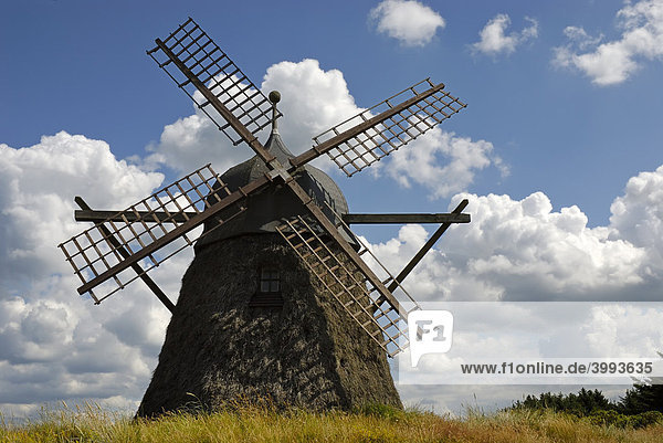 Dänemarks einzige erhaltene Windmühle  bei Gr¯nne Strand  Svinkl¯v  Jammerbucht  Nordwestjütland  Dänemark  Europa