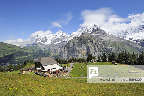 Blick vom Allmendhubel zum Berggasthaus und auf das Dreigestirn Eiger  Mönch und Jungfrau im Berner Oberland  Kanton Bern  Schweiz  Europa