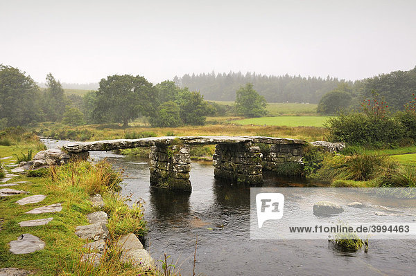 Alte Brücke aus Granitplatten oder Clapper Bridge über dem Fluss Dart  Dartmoor Nationalpark  Grafschaft Devon  England  Großbritannien  Europa