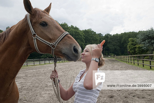 Mädchen  Teenager  füttert ein Pferd mit einer Karotte