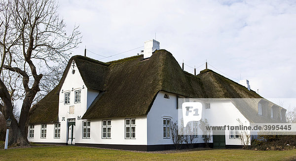 Typisches Reetdachhaus  Keitum  Sylt  nordfriesische Insel  Schleswig-Holstein  Deutschland  Europa