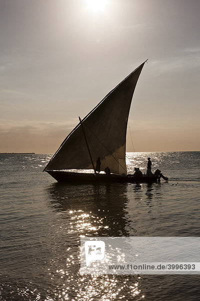 Arabische Dau  Dhau  an der Küste vor Stonetown  Sansibar  Tansania  Afrika