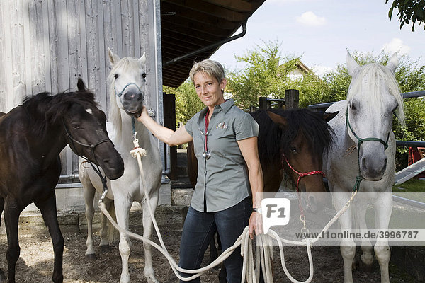 Großtierärztin mit ihren vier Pferden  Steinmaur  Zürich  Schweiz  Europa