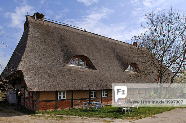 Altes reetgedecktes Bauernhaus  Neso  Mecklenburg-Vorpommern  Deutschland  Europa