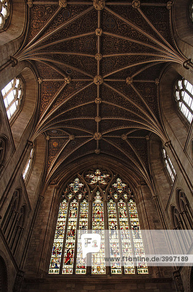 Gotisches Kreuzgewölbe mit Fenster in der Kathedrale  Hereford  England  Europa