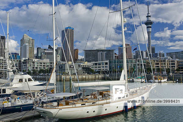 Segelboot im Hafen von Auckland mit Blick auf die Skyline  Nordinsel  Neuseeland