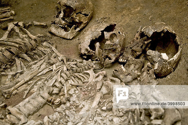 Menschliche Skelette in einem offenen Grab