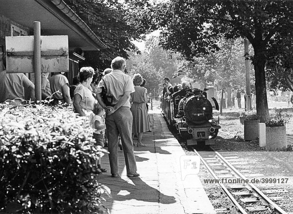 Pioniereisenbahn am Auensee  Leipzig  DDR  historische Aufnahme  ca. 1982