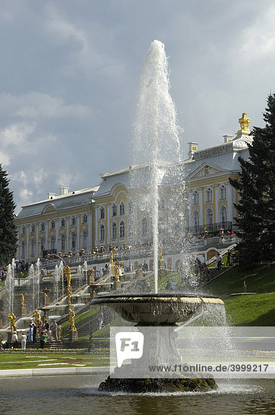 Große Kaskade mit Palast  Peterhof  Petrodvorez  Sankt Petersburg  Russland  Europa