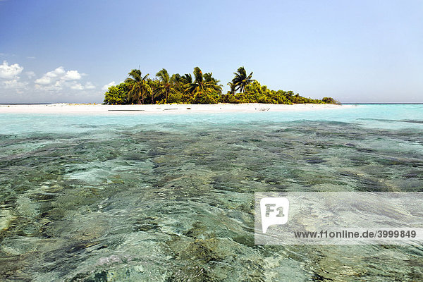 Unbewohnte Insel  Malediveninsel  Korallen  Lagune  Palmen  Strand  Süd Male Atoll  Malediven  Archipel  Indischer Ozean  Asien