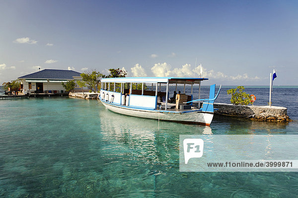 Dhoni als Tauchboot vor Tauchbasis  Vadoo  Insel  Süd Male Atoll  Malediven  Archipel  Indischer Ozean  Asien