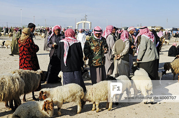 Men on a market for sheep and goats  Kafseh  Syria  Asia