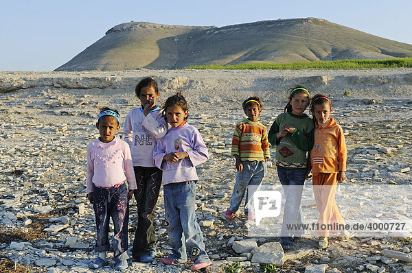 Children on the mountain Jebel Arruda at the Asad reservoir of the Euphrates  Syria  Asia