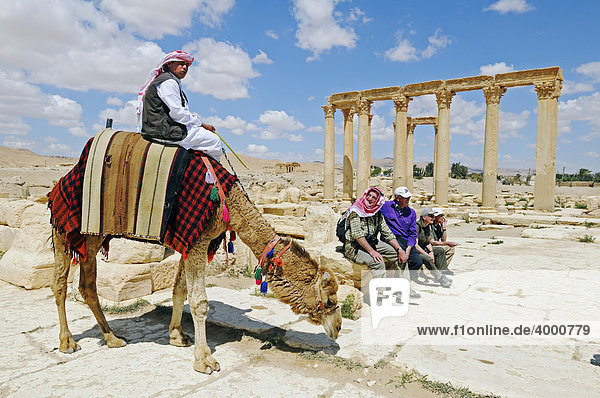 Camel guide and tourists in the ruins of the Palmyra archeological site  Tadmur  Syria  Asia