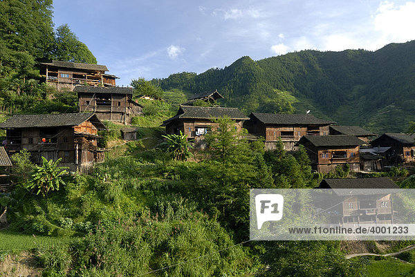 Xijiang  größtes Dorf der Miao-Minderheit in China mit traditionellen Miao-Holzhäusern  Xijiang  Guizhou  Südchina  China  Asien