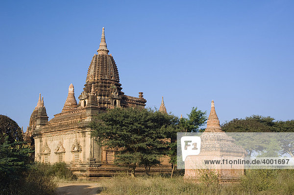 Tempel  Zedi  Old Bagan  Pagan  Burma  Birma  Myanmar  Asien
