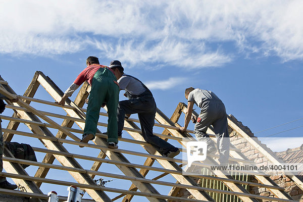 Bauarbeiter errichten ein Hausdach