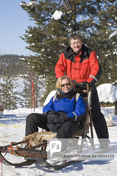 Woman and man on a sled during a sled dog tour in Kiruna  Lappland  North Sweden  Sweden