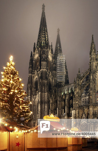 Weihnachtsmarkt und Weihnachtsbaum vor dem Kölner Dom  Köln  Nordrhein-Westfalen  Deutschland  Europa