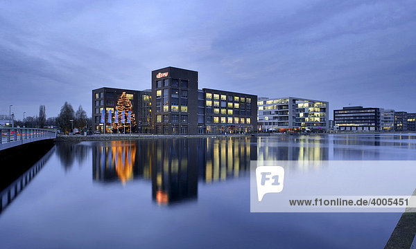 Bürogebäude im Innenhafen mit Weihnachtsbaum  Duisburg  Ruhrgebiet  Nordrhein-Westfalen  Deutschland  Europa