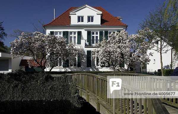 Blühende Bäume vor einer weißen Villa  Mölln  Holstein  Schleswig-Holstein  Deutschland  Europa