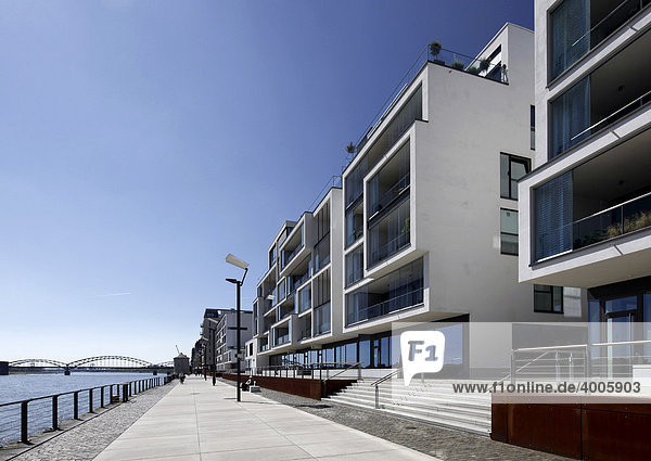 Wohngebäude Wohnwer(f)t und Uferpromenade im Rheinauhafen  Köln  Rheinland  Nordrhein-Westfalen  Deutschland  Europa