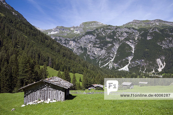 Unterrains-Alm  Obernberg  Tirol  Österreich  Europa