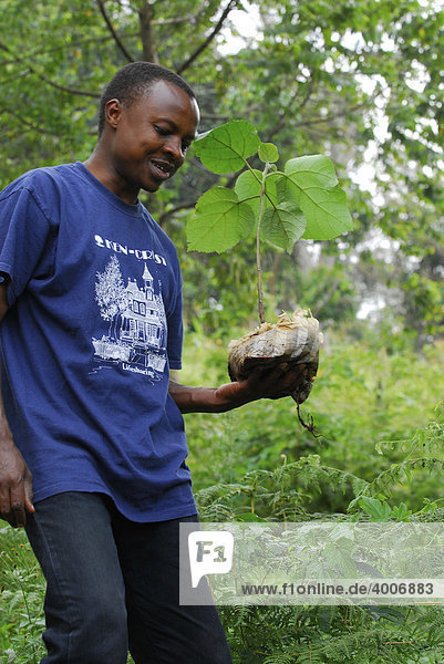 Mann beim Pflanzen eines Baumes  Wiederaufforstung des Regenwaldes auf der Irente-Farm in den Usambara-Bergen  in Tansania  Afrika