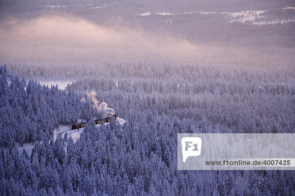 View from the Brocken mountain over a winter landscape deeply covered in snow at sunset and the Harzer Schmalspurbahn  narrow-gauge railway with steam engine  Saxony-Anhalt  Germany