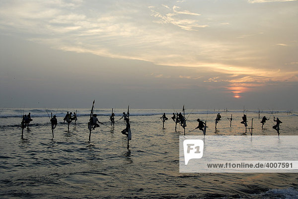 Stilt fishermen  sunset  fishermen on stilts fishing in the shallow water  Indian Ocean  Ceylon  Sri Lanka  South Asia  Asia
