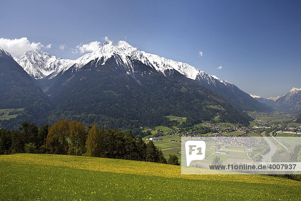 Blick ins Inntal  Pfaffenhofen  Hocheder in den Stubaier Alpen  Löwenzahnwiese  Oberinntal  Tirol  Österreich  Europa