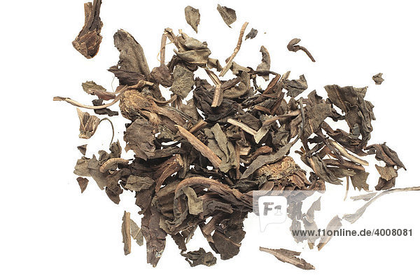 Getrocknete Blätter der Heilpflanze Chamäleonpflanze  Buntblatt  Eidechsenschwanz (Houttuynia cordata)  Yu Xing Cao
