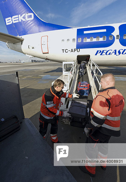 Employees of the company Avia Partner loading luggage onto a Boeing 737-82R from Pegasus Airlines  Munich Airport  Munich  Bavaria  Germany  Europe