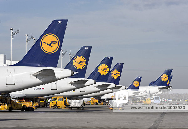Passagier-Flugzeuge der Deutschen Lufthansa stehen am Terminal 2 auf dem Flughafen München  Bayern  Deutschland