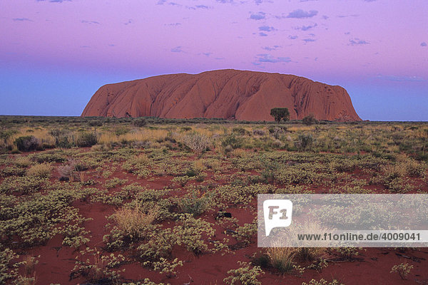 Ayers Rock  Uluru  zur blauen Stunde  Northern Territory  Australien